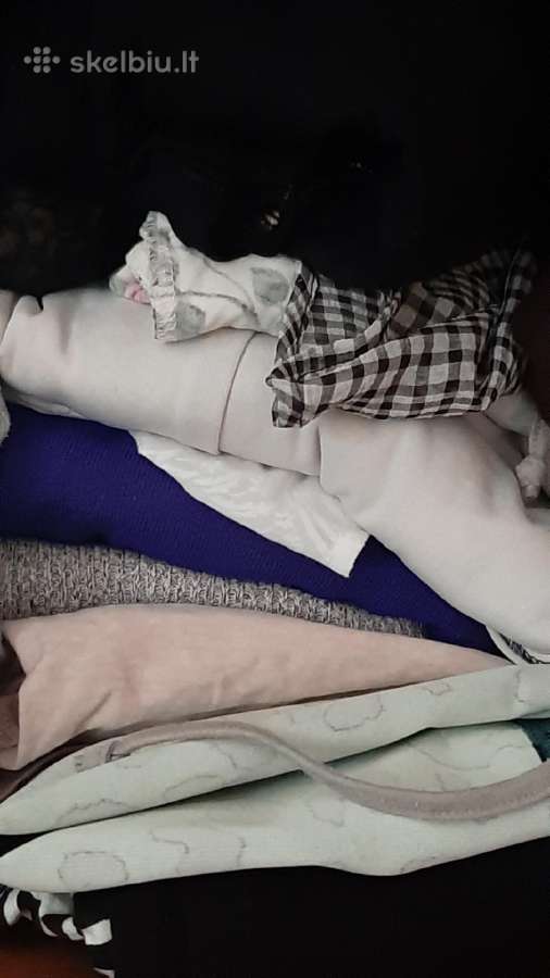 Palaidinės labai gera būklė pavasariui vasarai