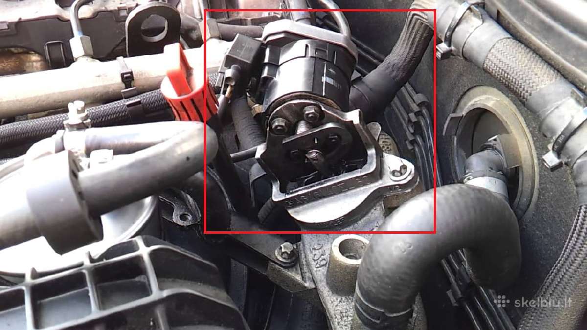 Adblue Dpf Egr programavimas, Dūmingumo matavimas - nuotraukos Nr. 5