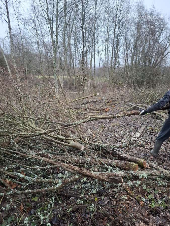 Sklypų valymas,šakų smulkinimas,žolės pjovimas. - nuotraukos Nr. 20