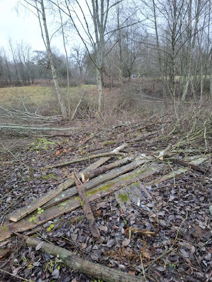 Sklypų valymas,šakų smulkinimas,žolės pjovimas. - nuotraukos Nr. 21