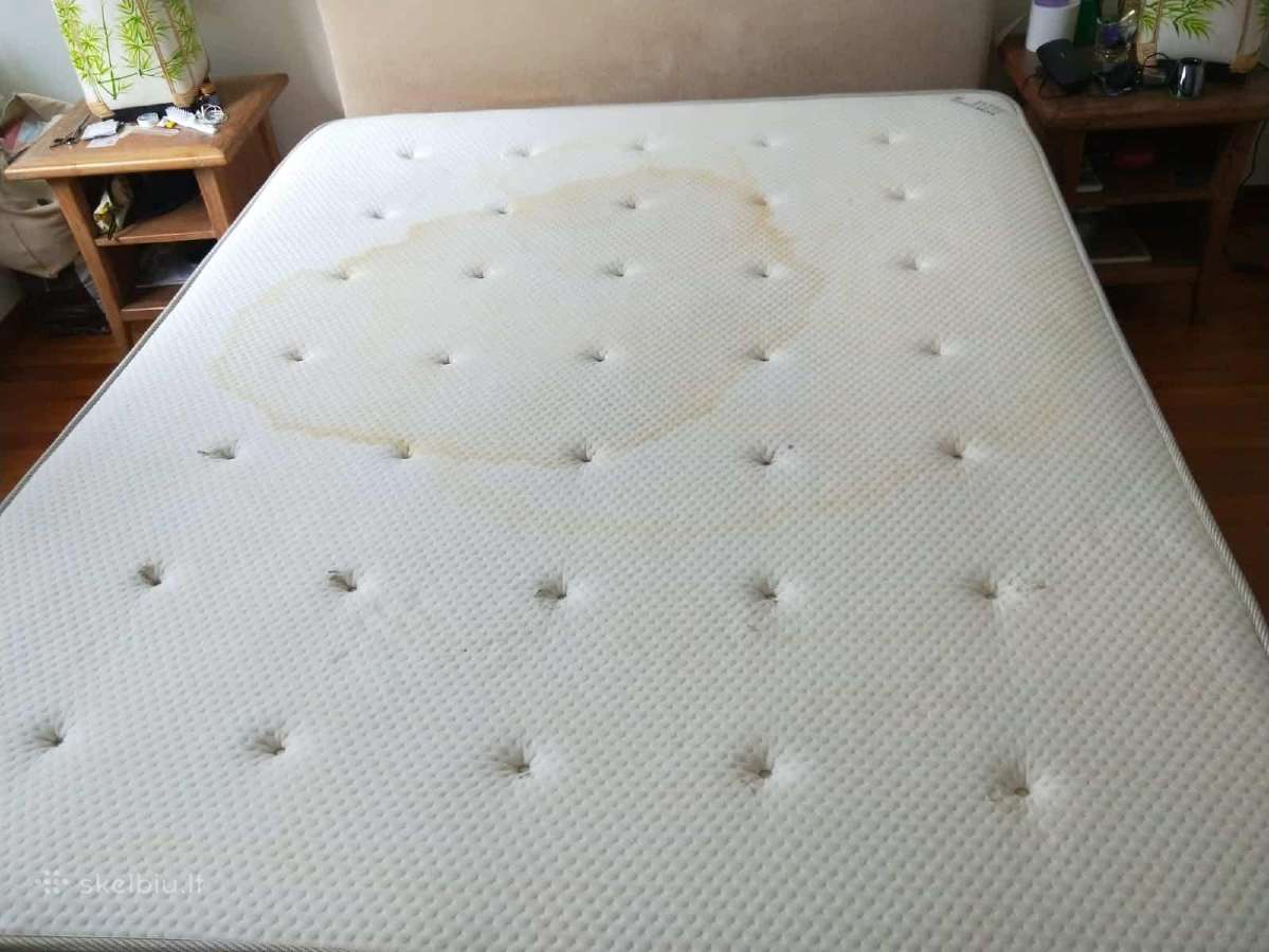 10€ plaunančio siurblio nuoma Karcher Vilnius - nuotraukos Nr. 16