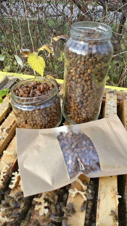 Medus ir kiti bičių produktai - nuotraukos Nr. 4