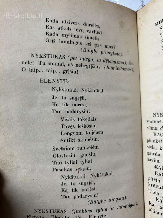 Nykštukas 1923 m. - nuotraukos Nr. 8