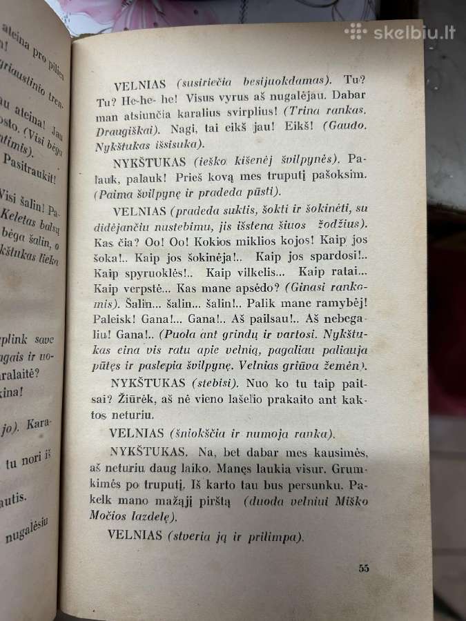 Nykštukas 1923 m. - nuotraukos Nr. 10
