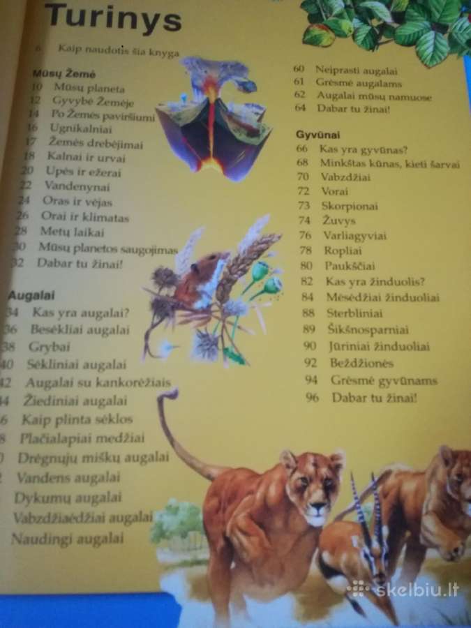 V.petkevičius Didysis Mikas pupkus ir kt. knygos - nuotraukos Nr. 15