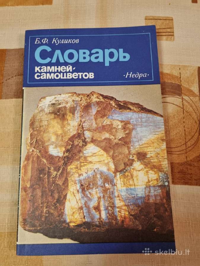 Brangakmenių žodynas