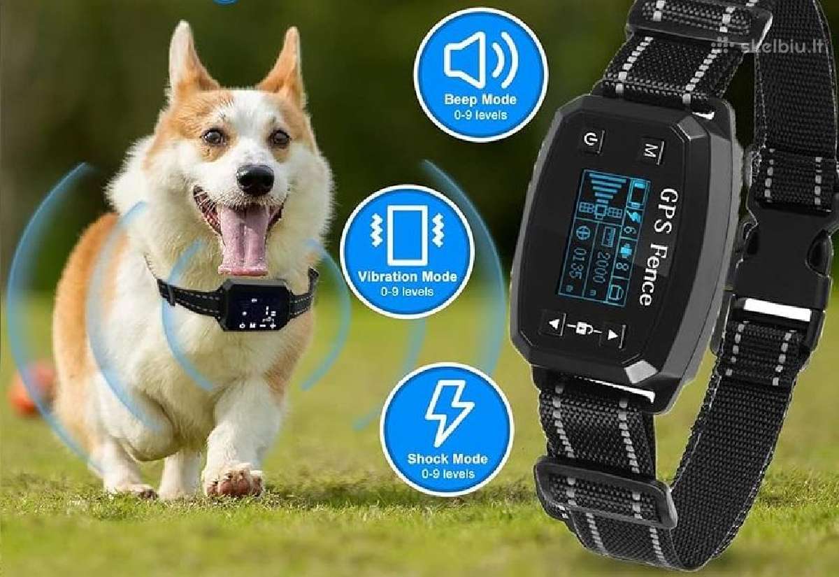 Šun GPS antkaklis bevielė elektrinė tvora - nuotraukos Nr. 6