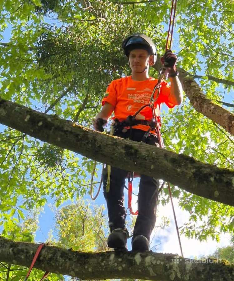 Arboristas. Medžių pjovimas, kelmų naikinimas - nuotraukos Nr. 4