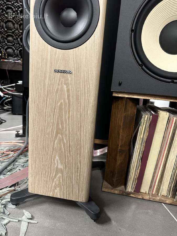 Dynaudio Evoke 50 blonde wood koloneles - nuotraukos Nr. 22