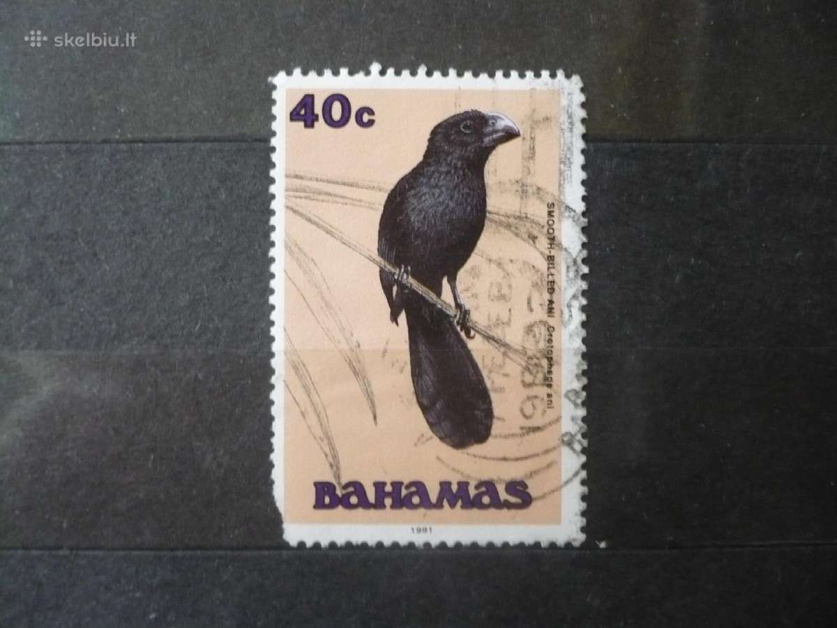 1991 Paukščiai