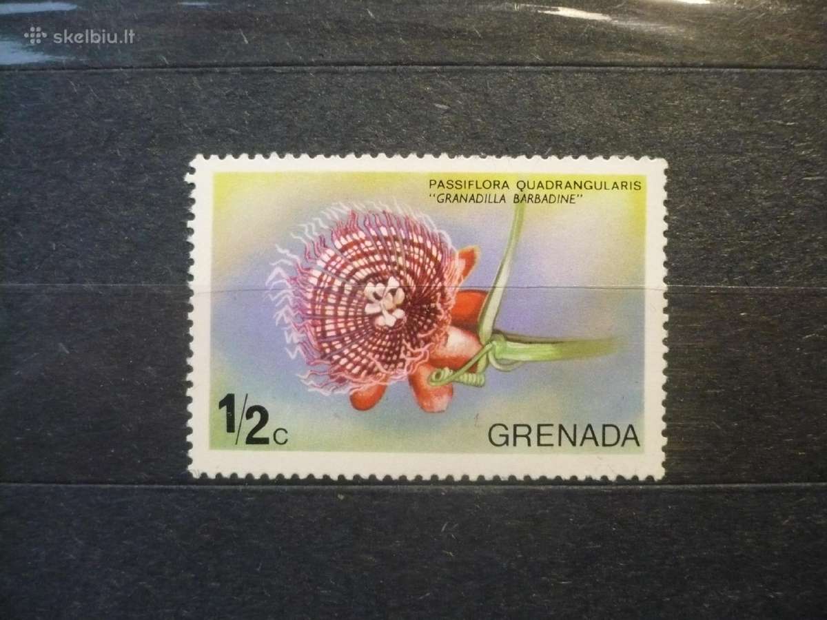 1975 Gėlės Mhn