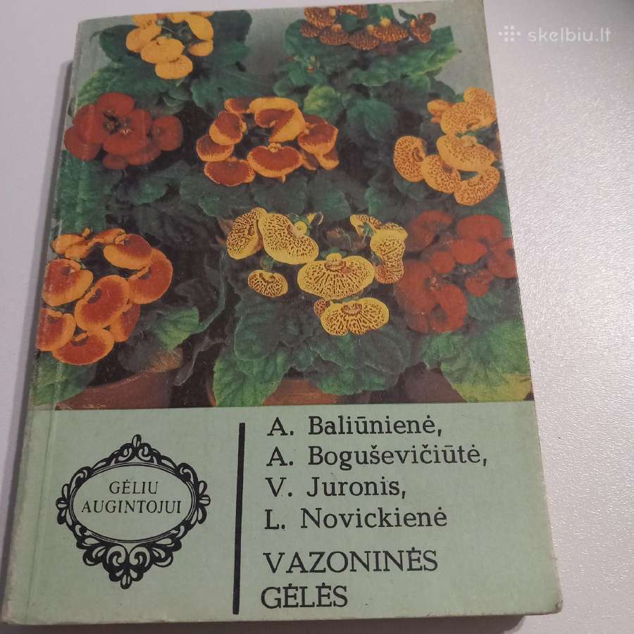 Vazoninės gėlės
