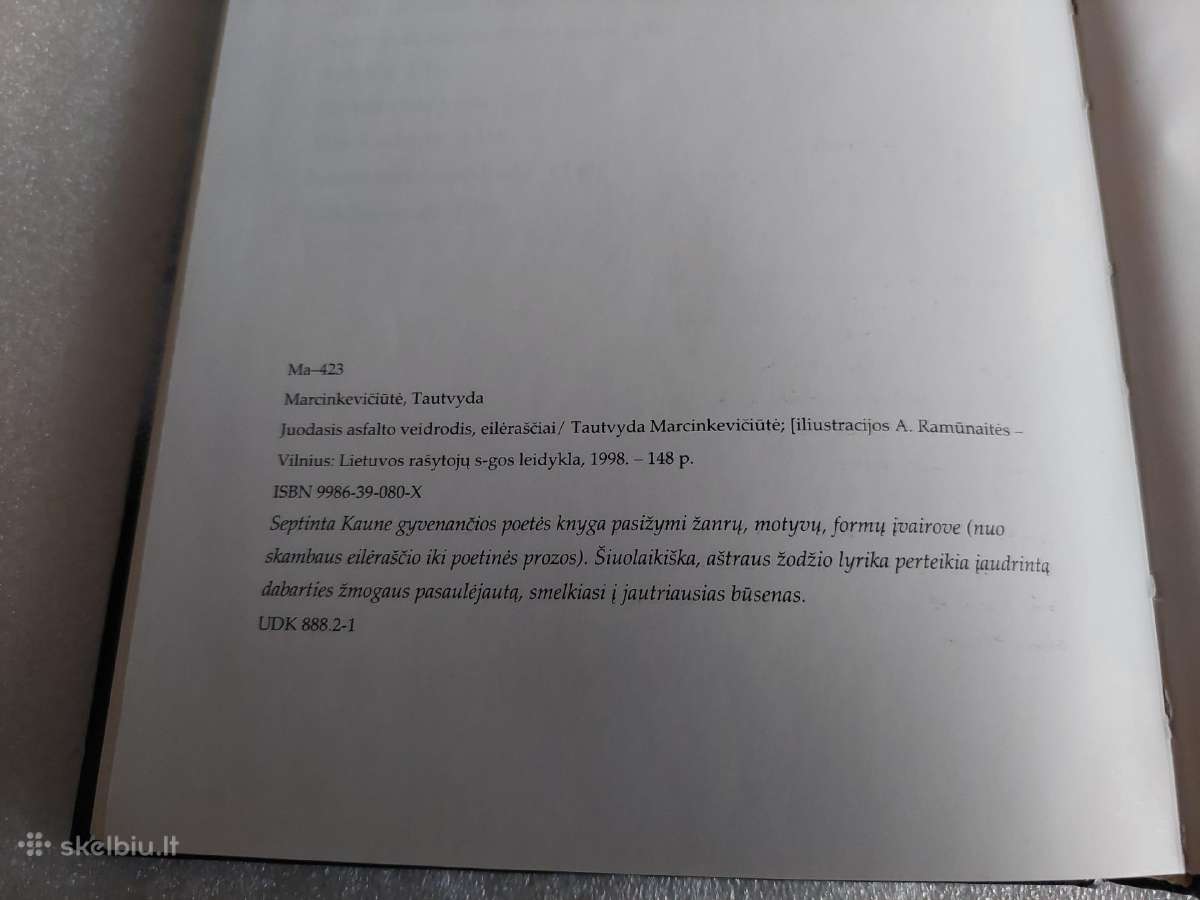 Juodasis asfalto veidrodis - nuotraukos Nr. 3