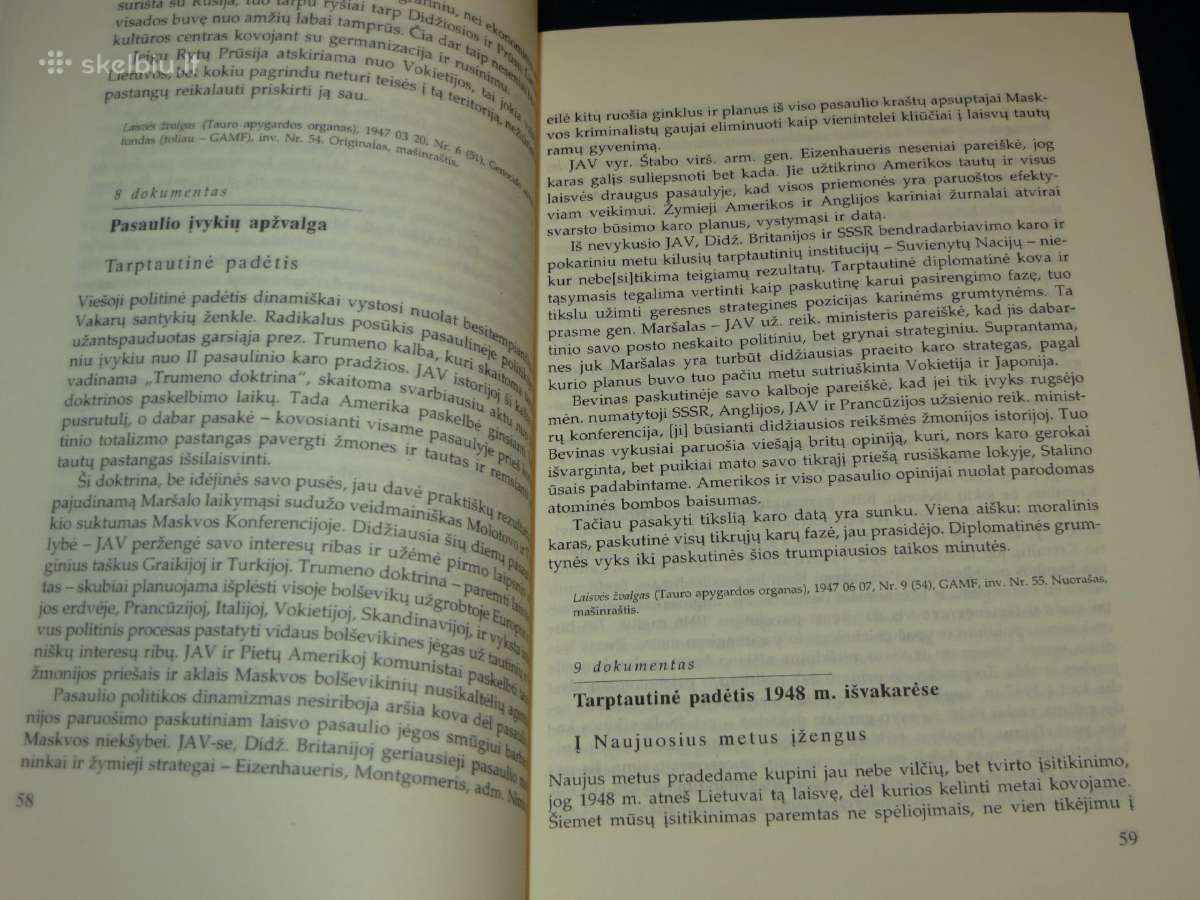 Knyga Partizanai apie pasaulį, politiką ir save 98 - nuotraukos Nr. 9