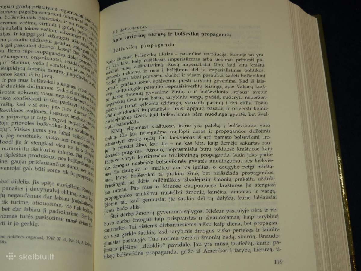 Knyga Partizanai apie pasaulį, politiką ir save 98 - nuotraukos Nr. 14