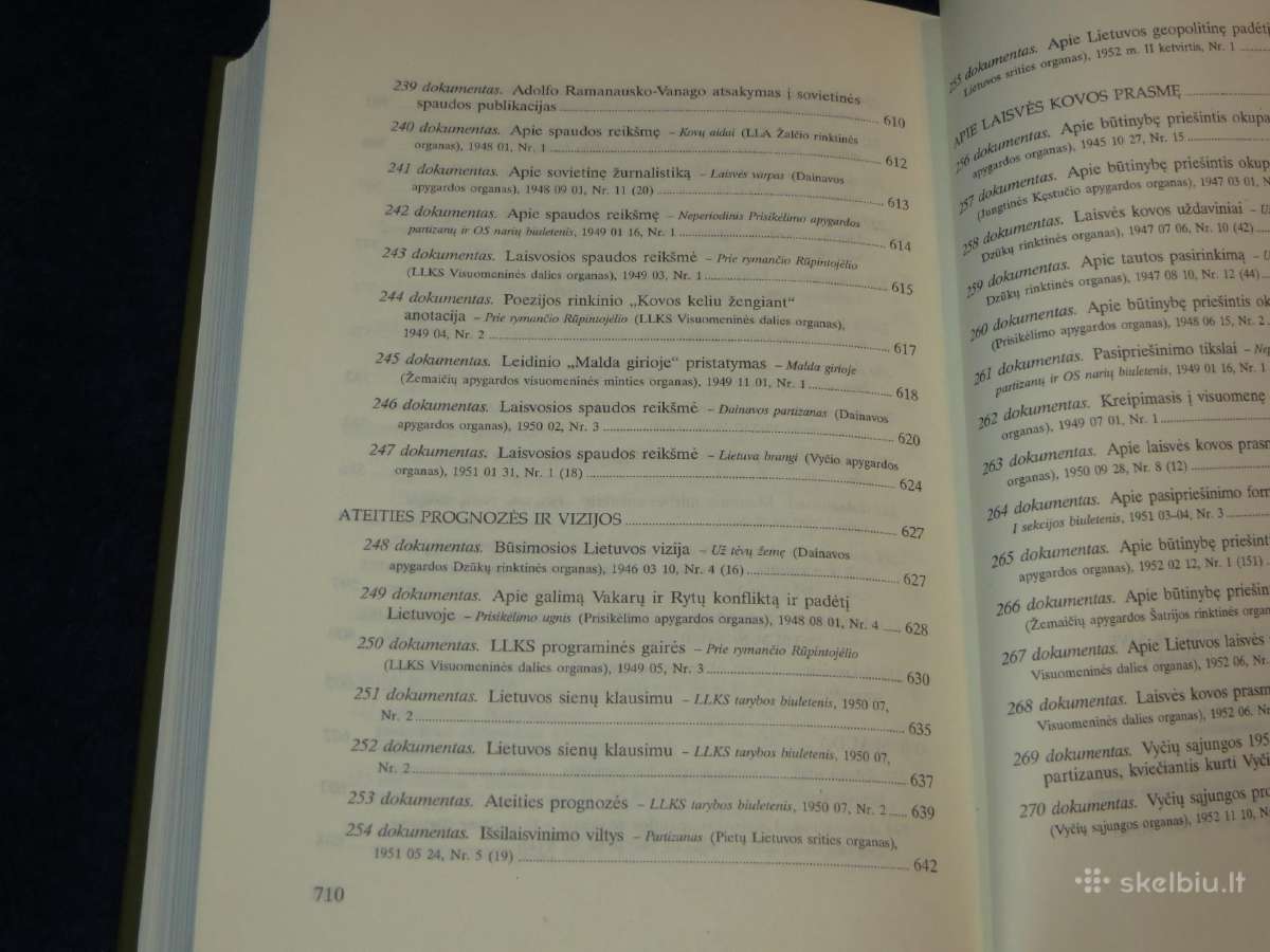 Knyga Partizanai apie pasaulį, politiką ir save 98 - nuotraukos Nr. 35