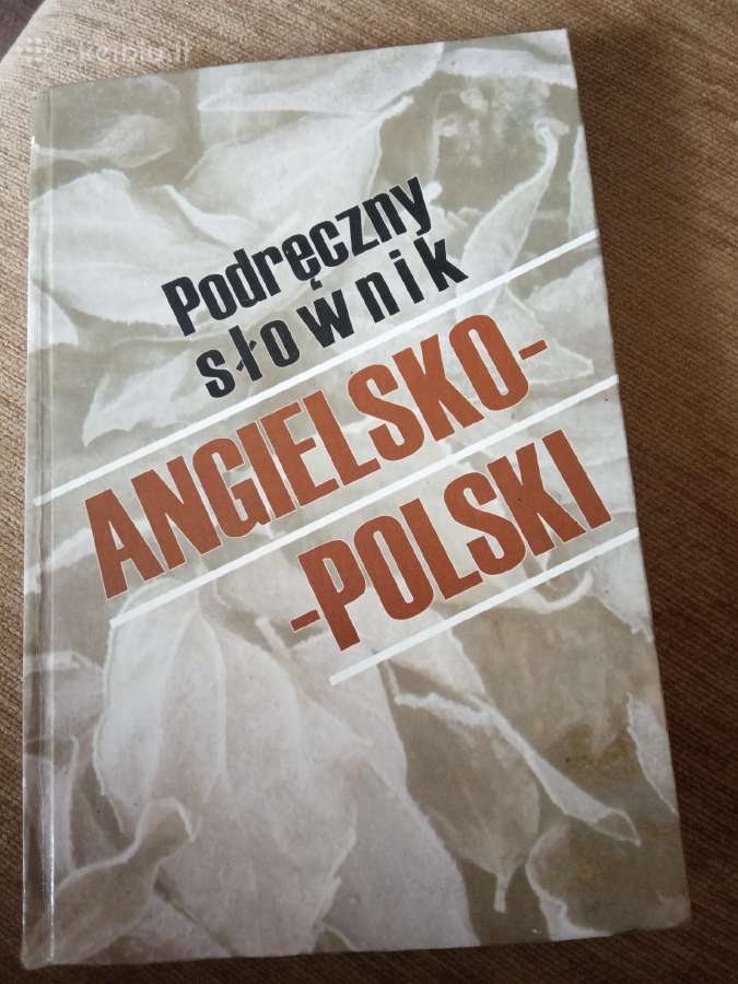 Anglų-lenkų žodynas