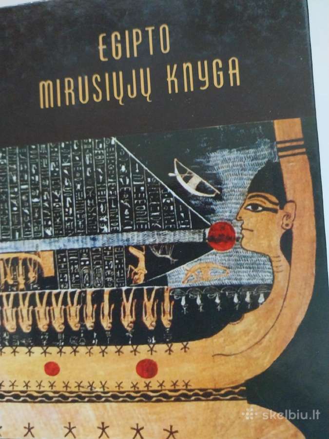 Knyga