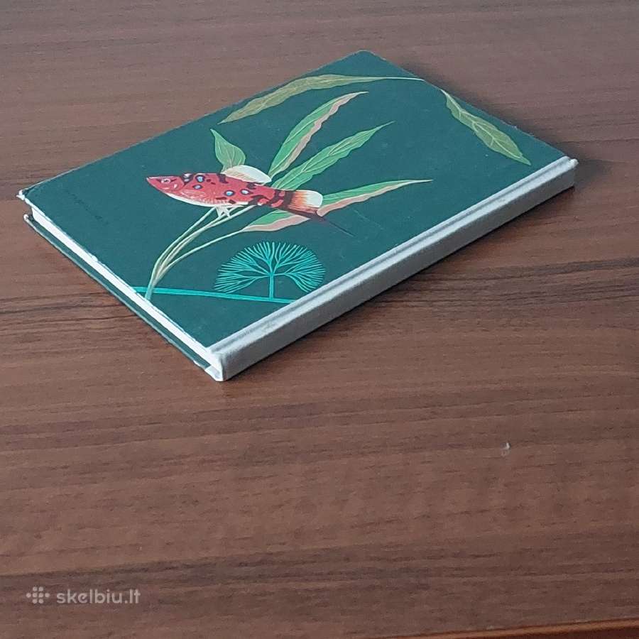 Ksiąžka - Ryby w akwarium / Akvariumo žuvys - nuotraukos Nr. 4