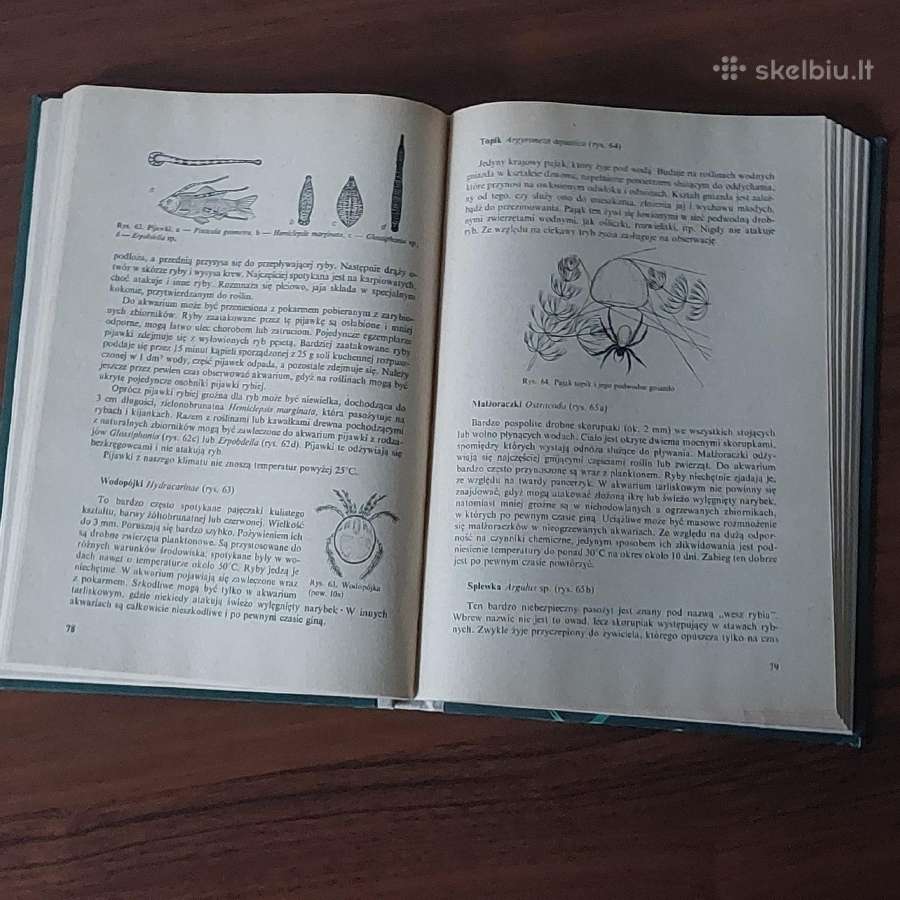 Ksiąžka - Ryby w akwarium / Akvariumo žuvys - nuotraukos Nr. 6