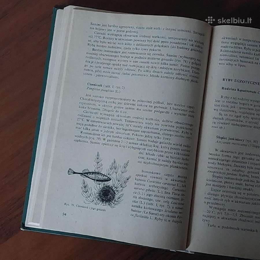 Ksiąžka - Ryby w akwarium / Akvariumo žuvys - nuotraukos Nr. 8