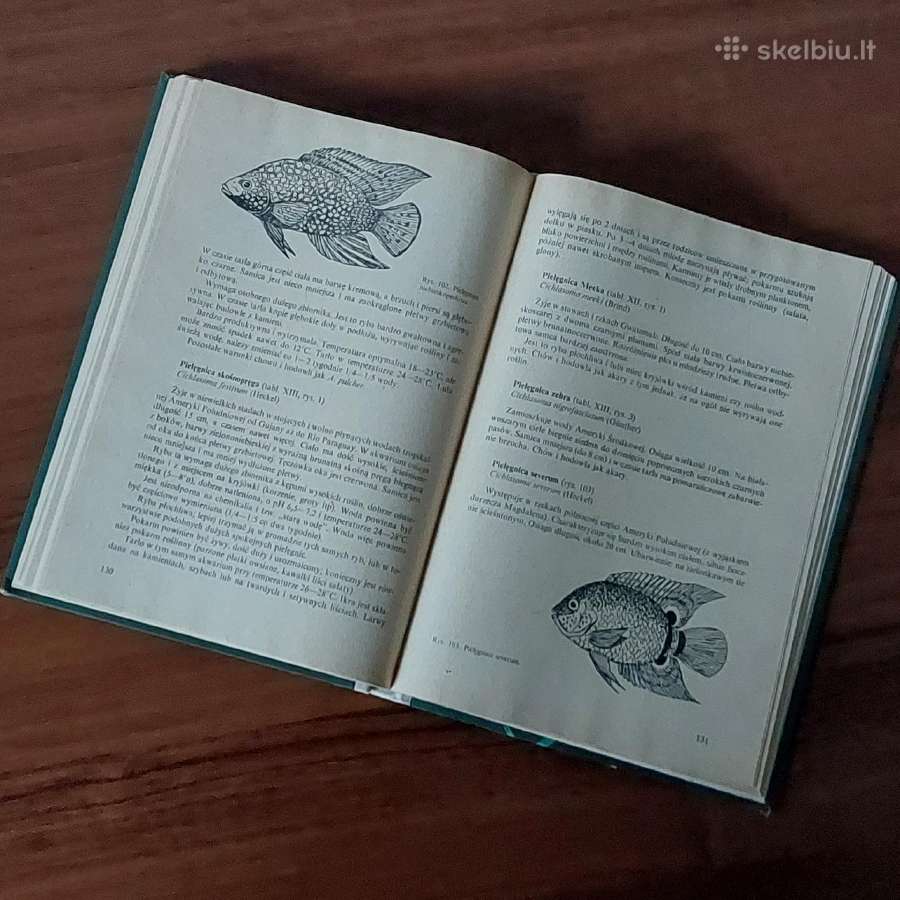 Ksiąžka - Ryby w akwarium / Akvariumo žuvys - nuotraukos Nr. 10