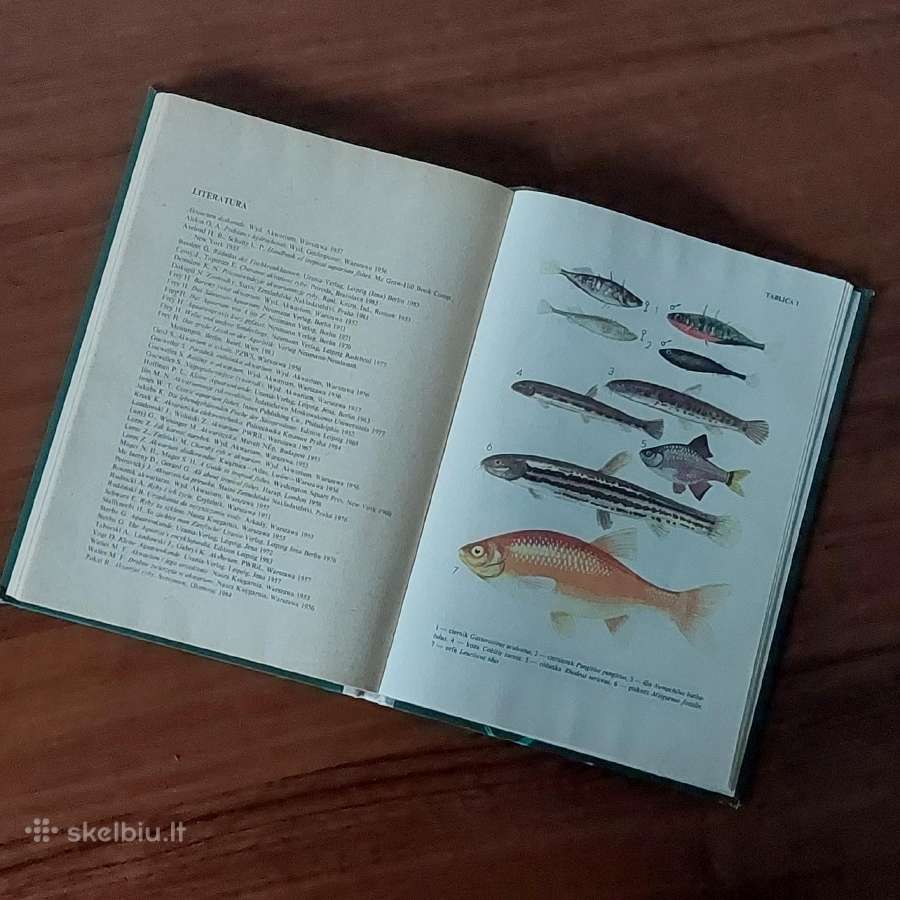 Ksiąžka - Ryby w akwarium / Akvariumo žuvys - nuotraukos Nr. 11