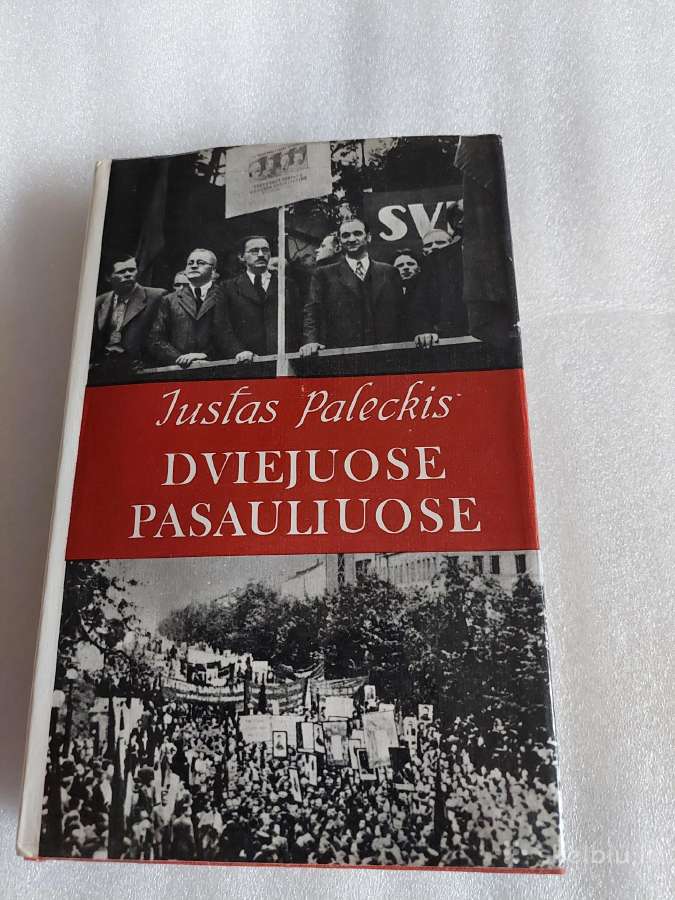 Dviejuose pasauliuose