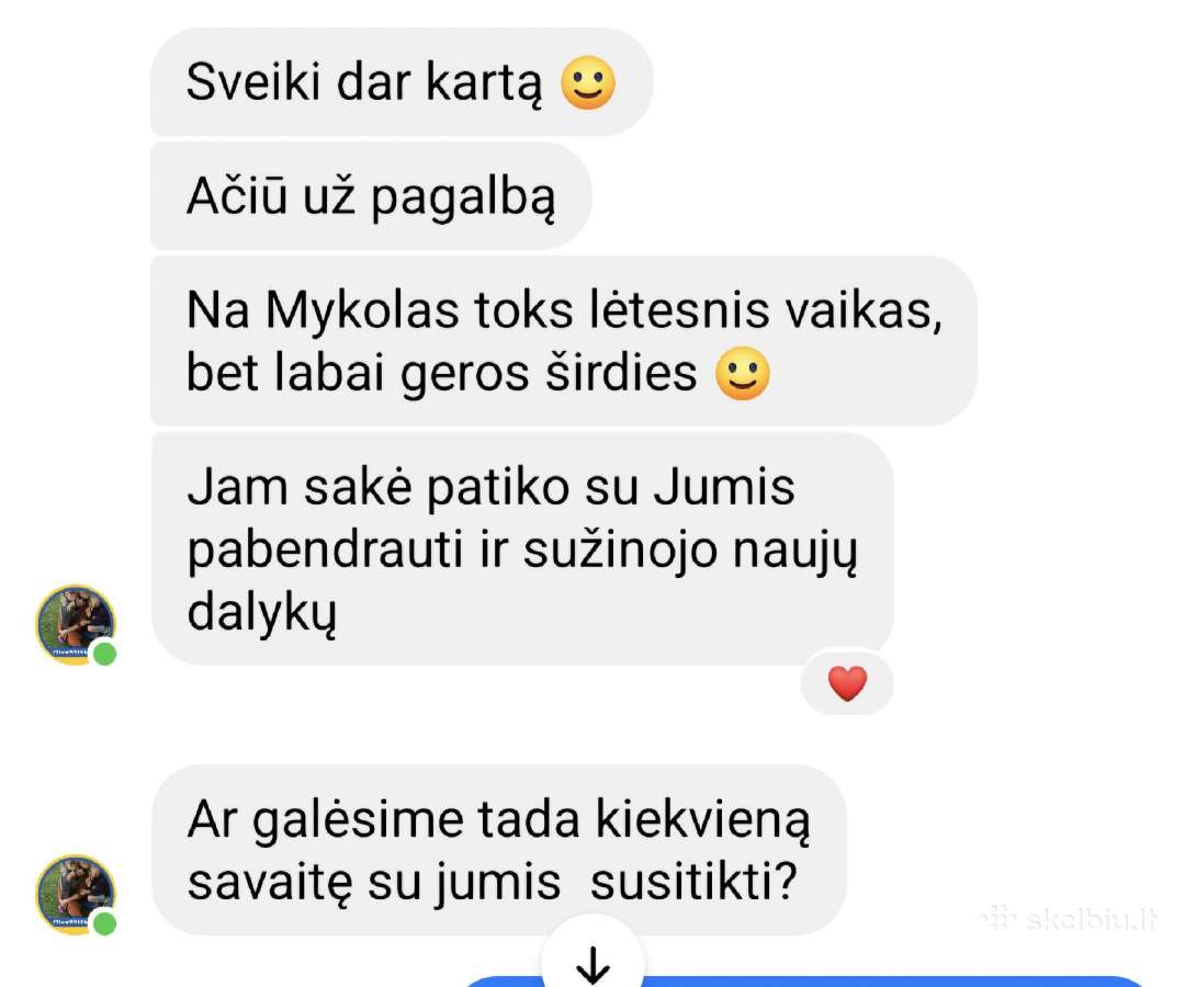 Lietuvių kalbos mokytoja korepetitorė - nuotraukos Nr. 6