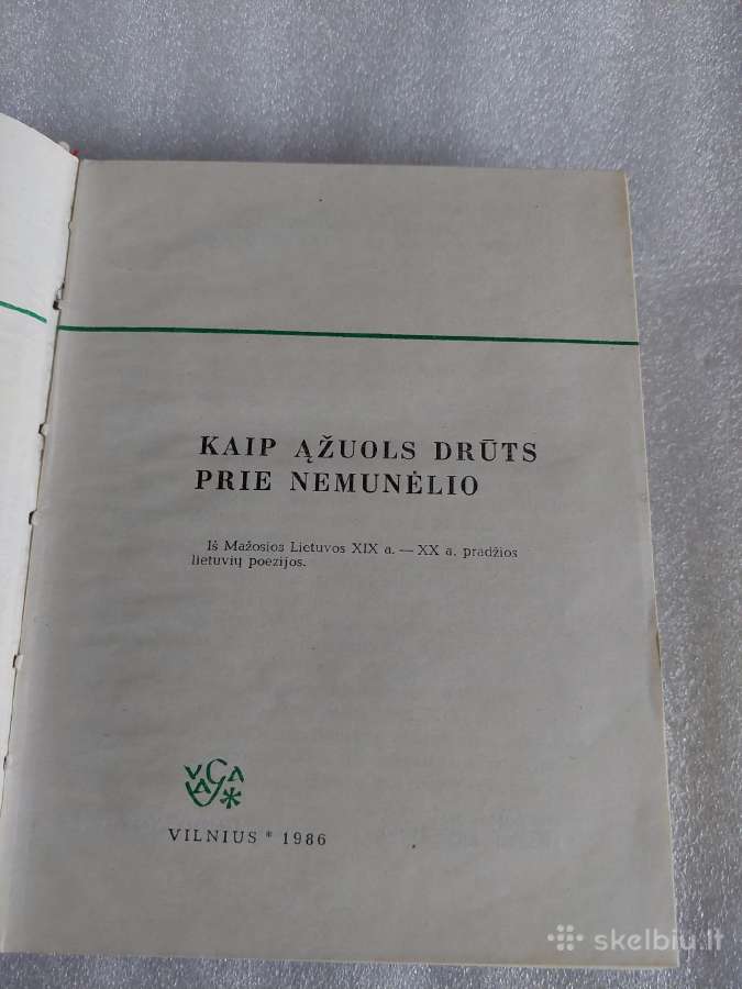 Kaip ąžuols drūts prie Nemunėlio - nuotraukos Nr. 2