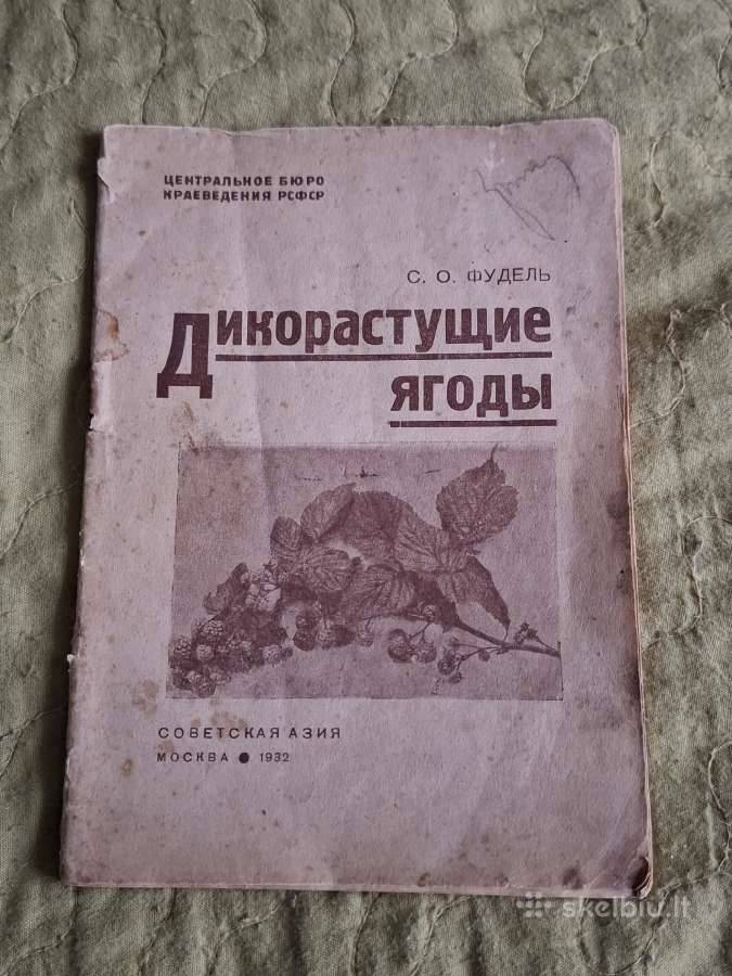 Laukinės uogos