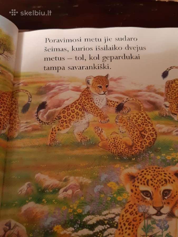 Knygelės vaikams - nuotraukos Nr. 3