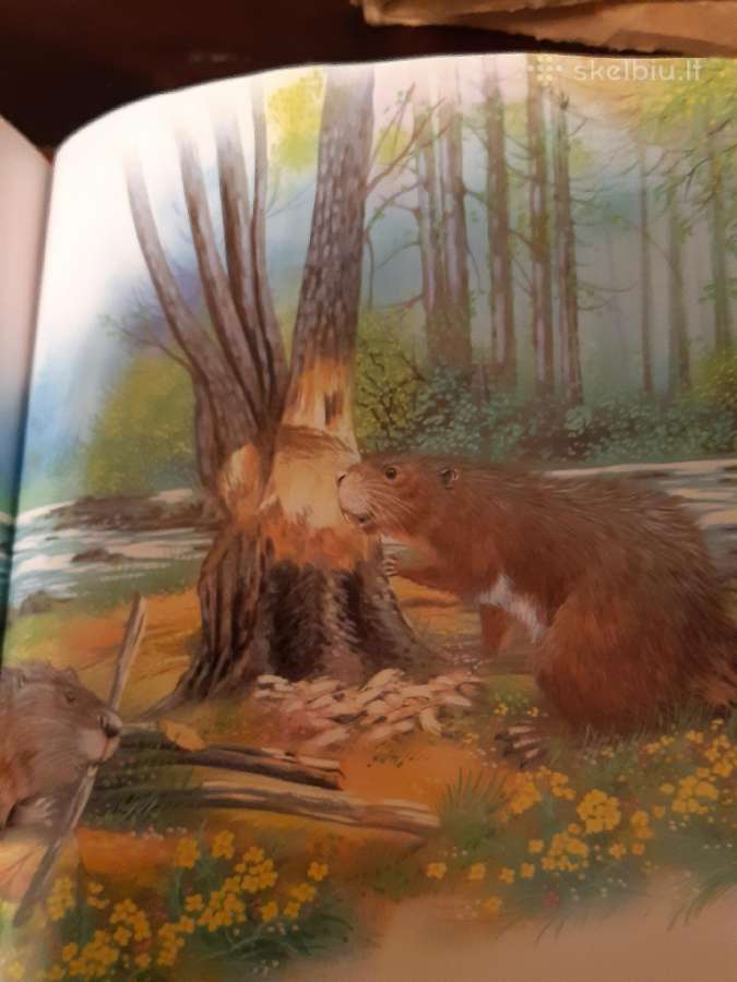 Knygelės vaikams - nuotraukos Nr. 4