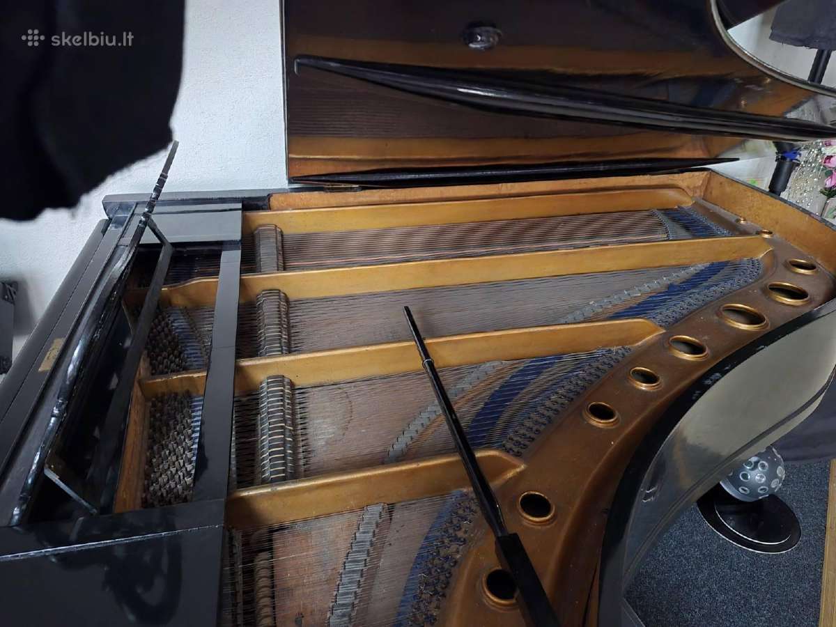 F.muhlbach 150+ metų Fortepijonas/pianinas - nuotraukos Nr. 4