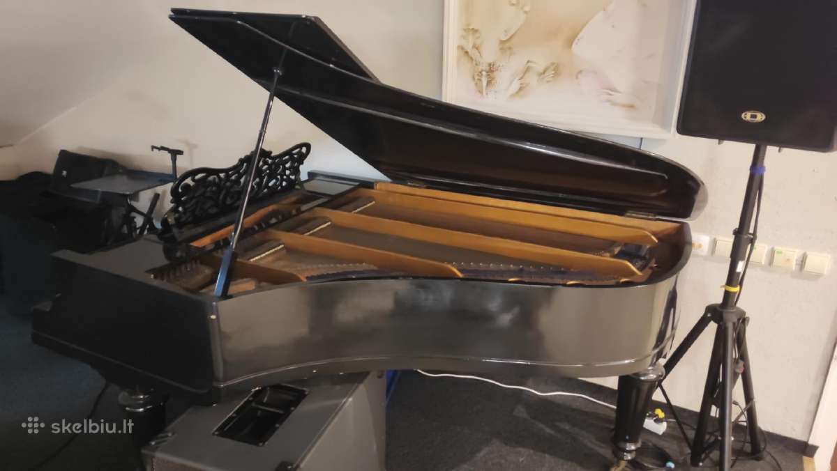 F.muhlbach 150+ metų Fortepijonas/pianinas - nuotraukos Nr. 5