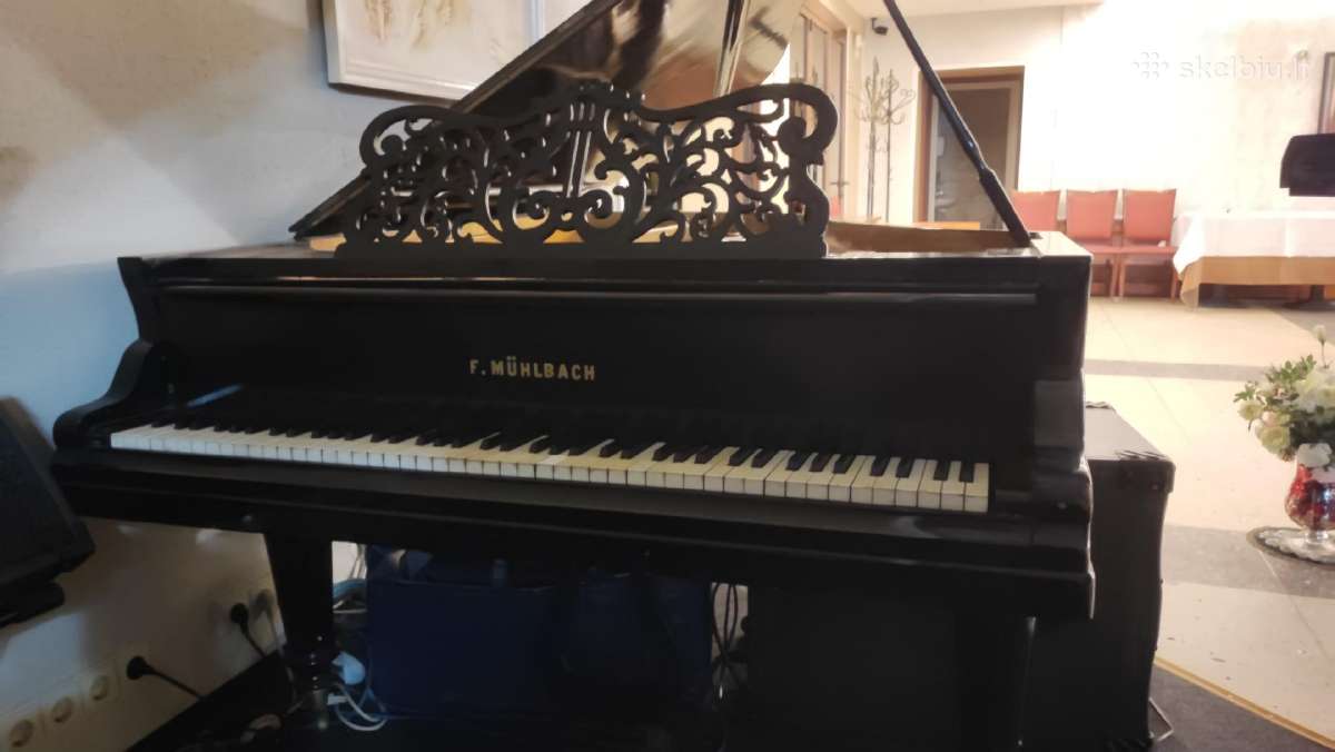 F.muhlbach 150+ metų Fortepijonas/pianinas - nuotraukos Nr. 2