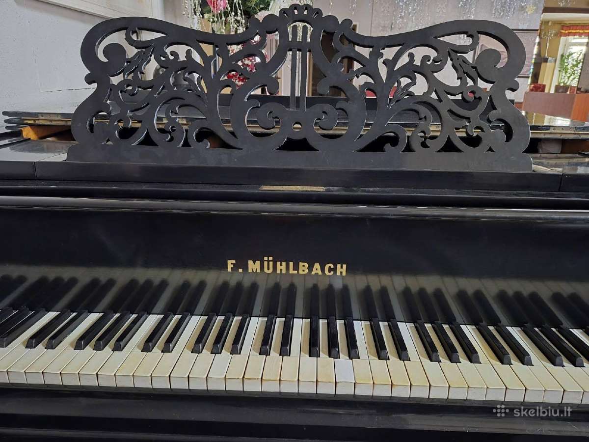 F.muhlbach 150+ metų Fortepijonas/pianinas - nuotraukos Nr. 3