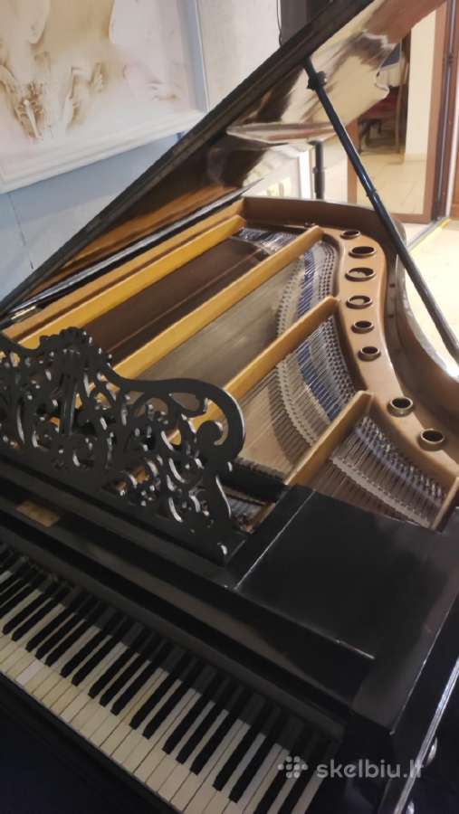 F.muhlbach 150+ metų Fortepijonas/pianinas - nuotraukos Nr. 6