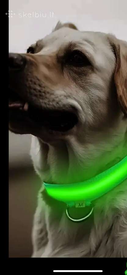 LED zalia nauja neispakuota sunu apykakle