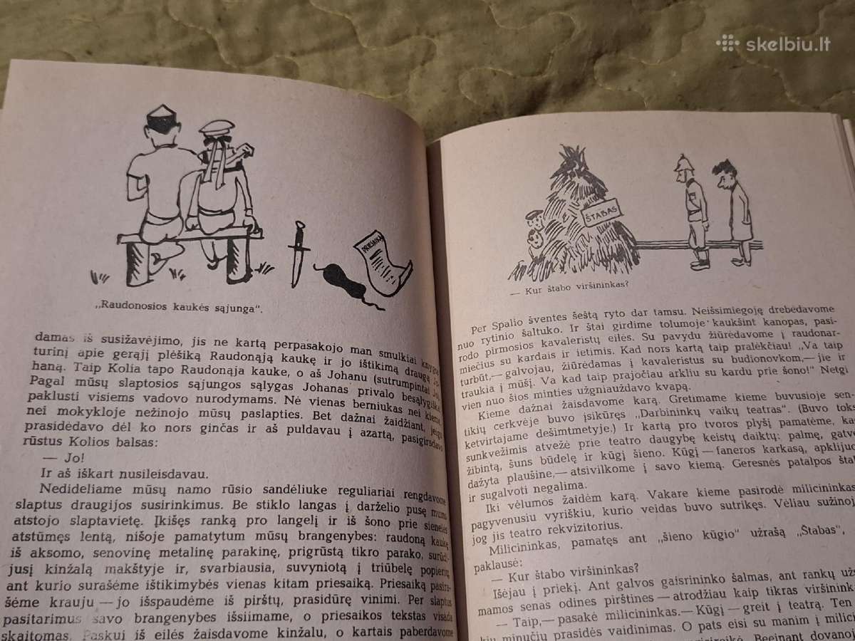 Nikulinas - nuotraukos Nr. 9