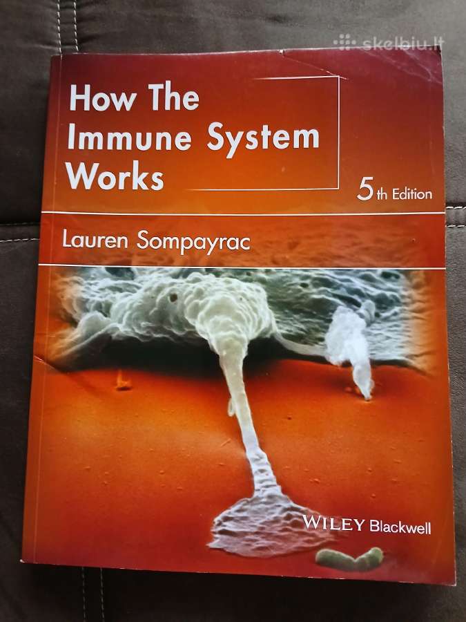 Gray's anatomy for Students - nuotraukos Nr. 13