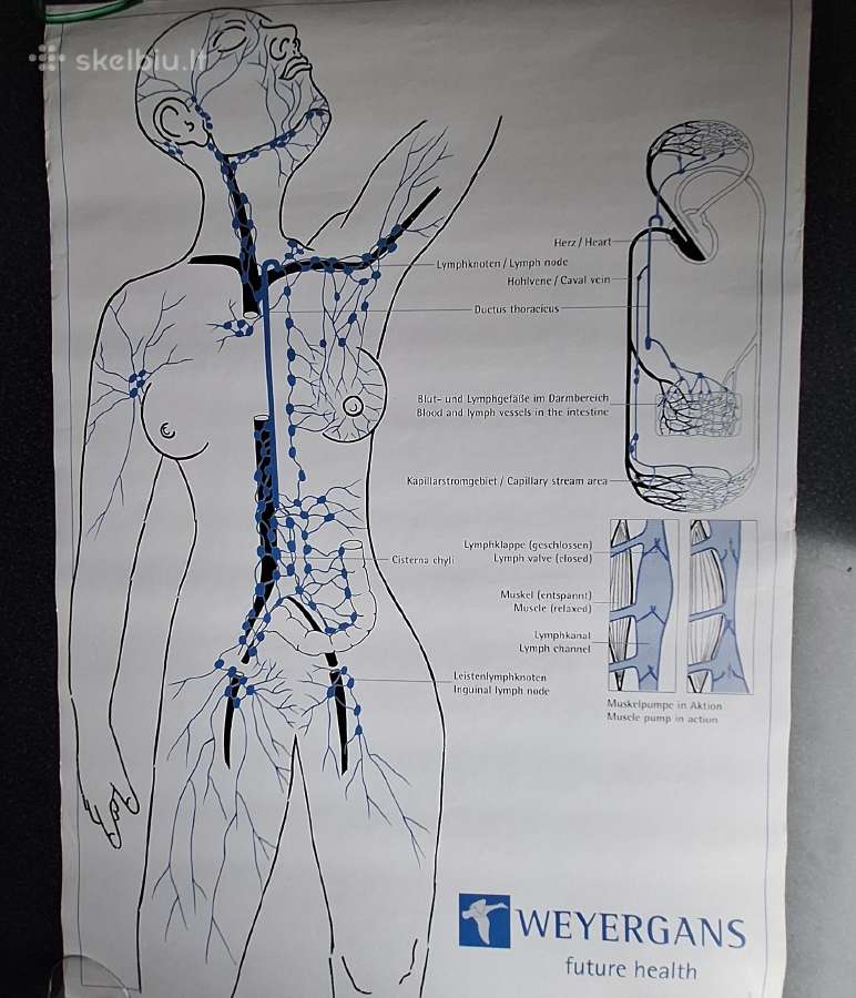 Weyergans grožio plakatai - nuotraukos Nr. 5