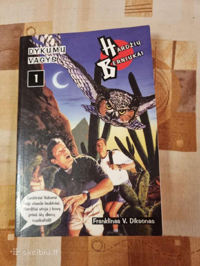 Hardžių berniukai Dykumų vagys