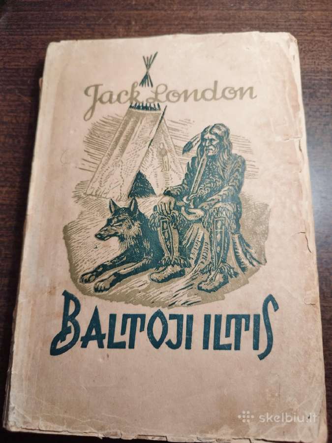Baltoji iltis