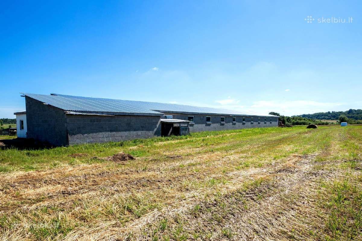 Parduodamos patalpos 703 kv.m + 3 ha - nuotraukos Nr. 3
