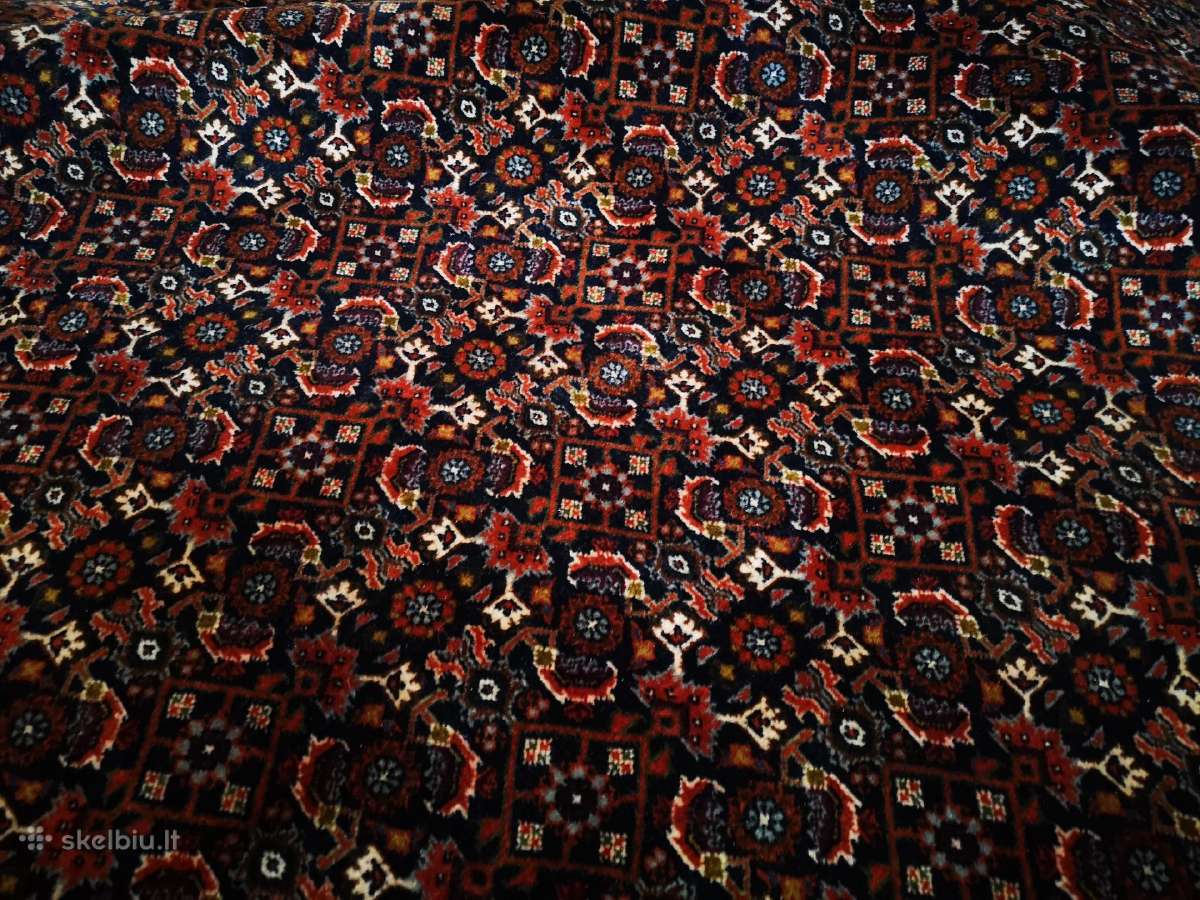 Retenybė! Bidjar persiškas kilimas 340x260 - nuotraukos Nr. 7