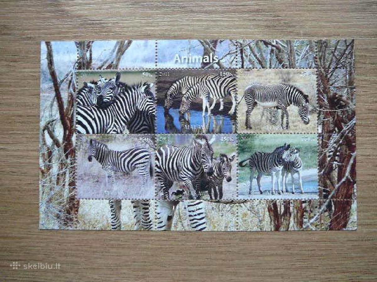 Zebrai Burundis 2011 svarus zb1134a