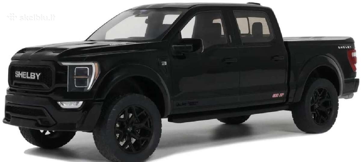 Ford Shelby F-150 - nuotraukos Nr. 3