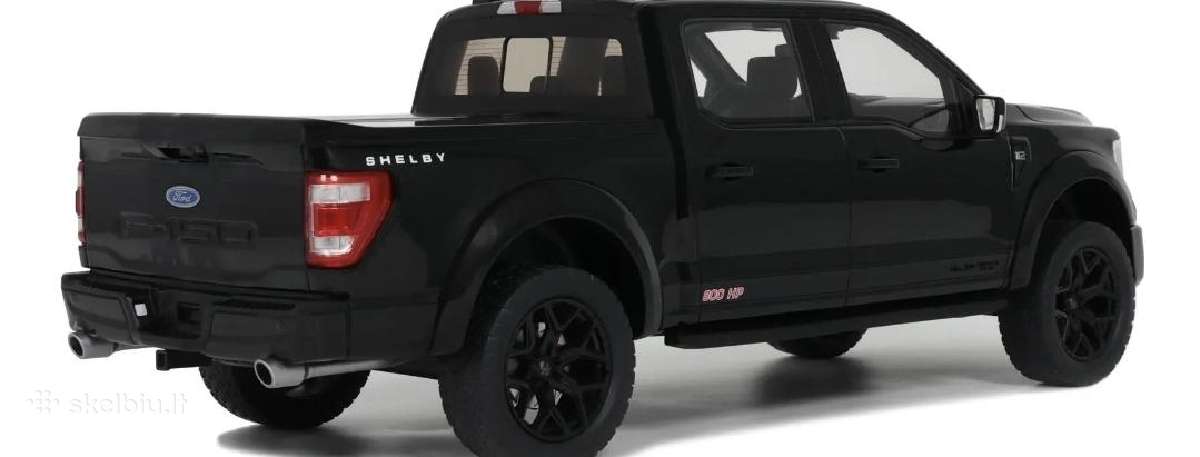 Ford Shelby F-150 - nuotraukos Nr. 4