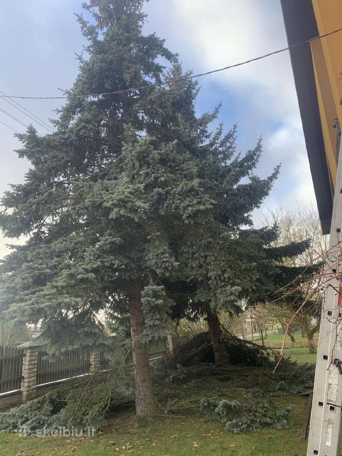 Kaminu valymas 60e Lietvamsdziu valymas nuo 100e - nuotraukos Nr. 35